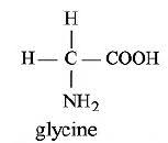 2242021519_download.jfif