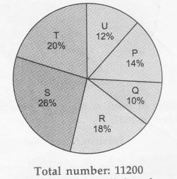 2322021765_pie chart 18.JPG