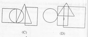 362021545_ven d21.JPG