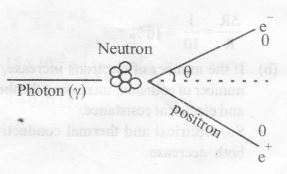 412022733_image 32.JPG